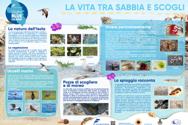 Copia Di In Questa Spiaggia Si Protegge Il Fratino