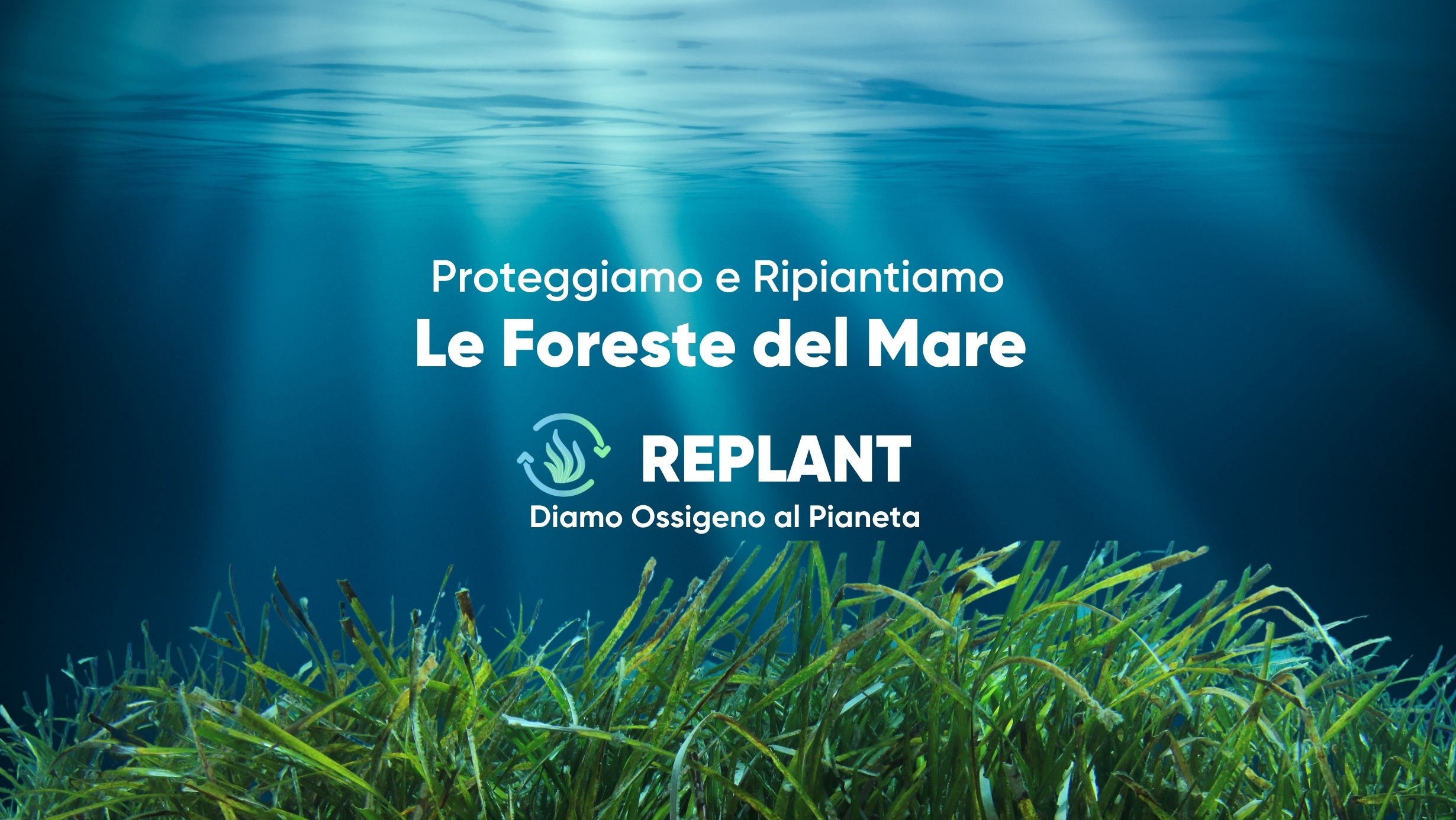 Le Foreste del Mare
