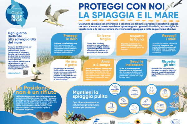 Copia Di In Questa Spiaggia Si Protegge Il Fratino