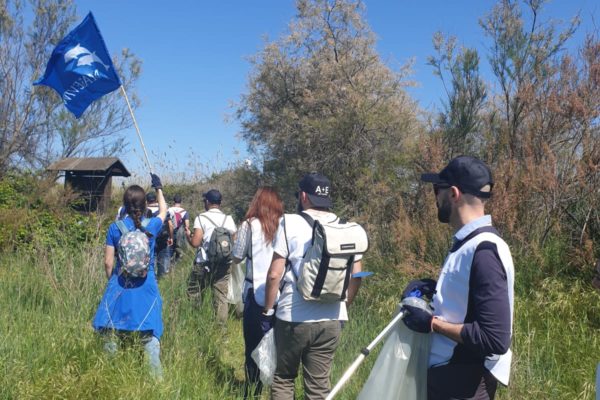 Pulizia Torre Flavia 2 Pulizia Torre Flavia 2