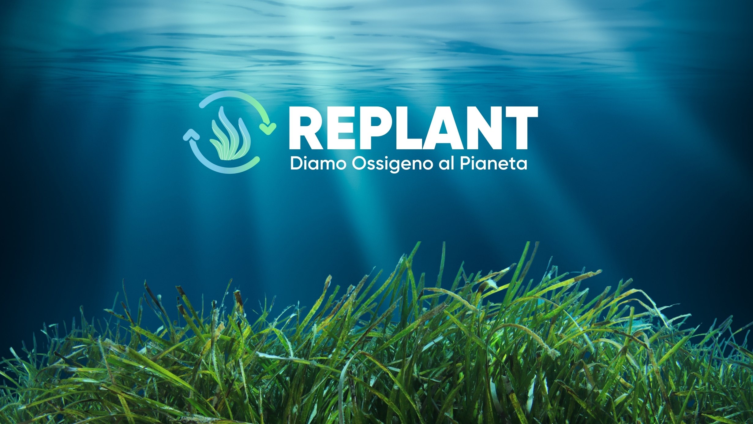 Marevivo lancia “Replant” la campagna per proteggere e ripiantare le foreste del mare