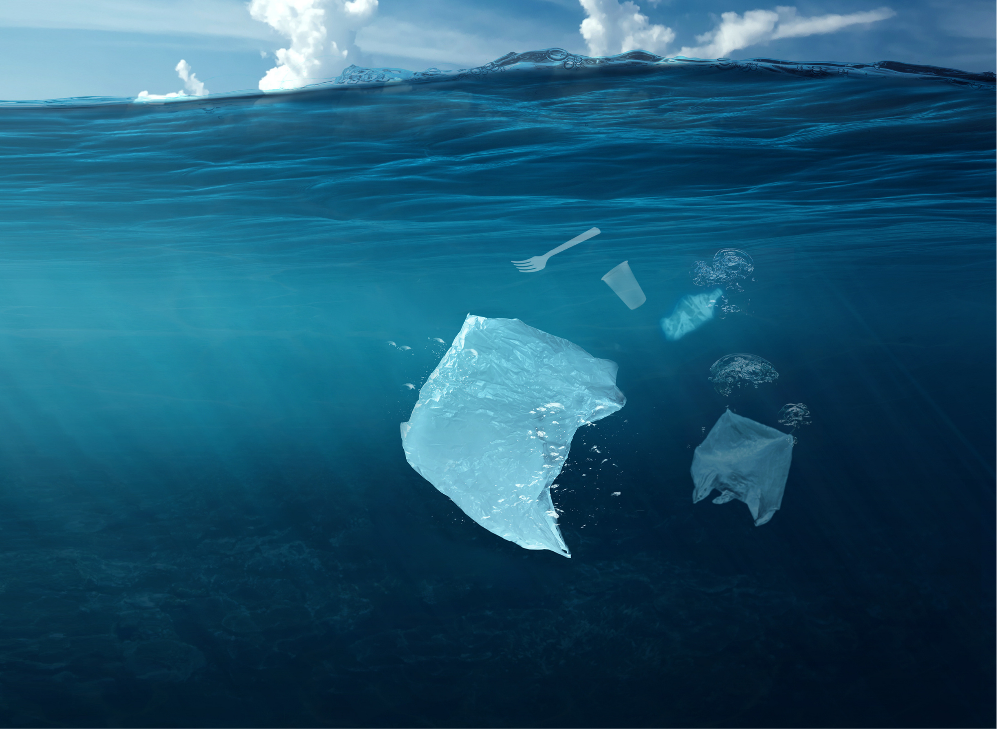 Vittoria storica: la Legge Salvamare è stata approvata