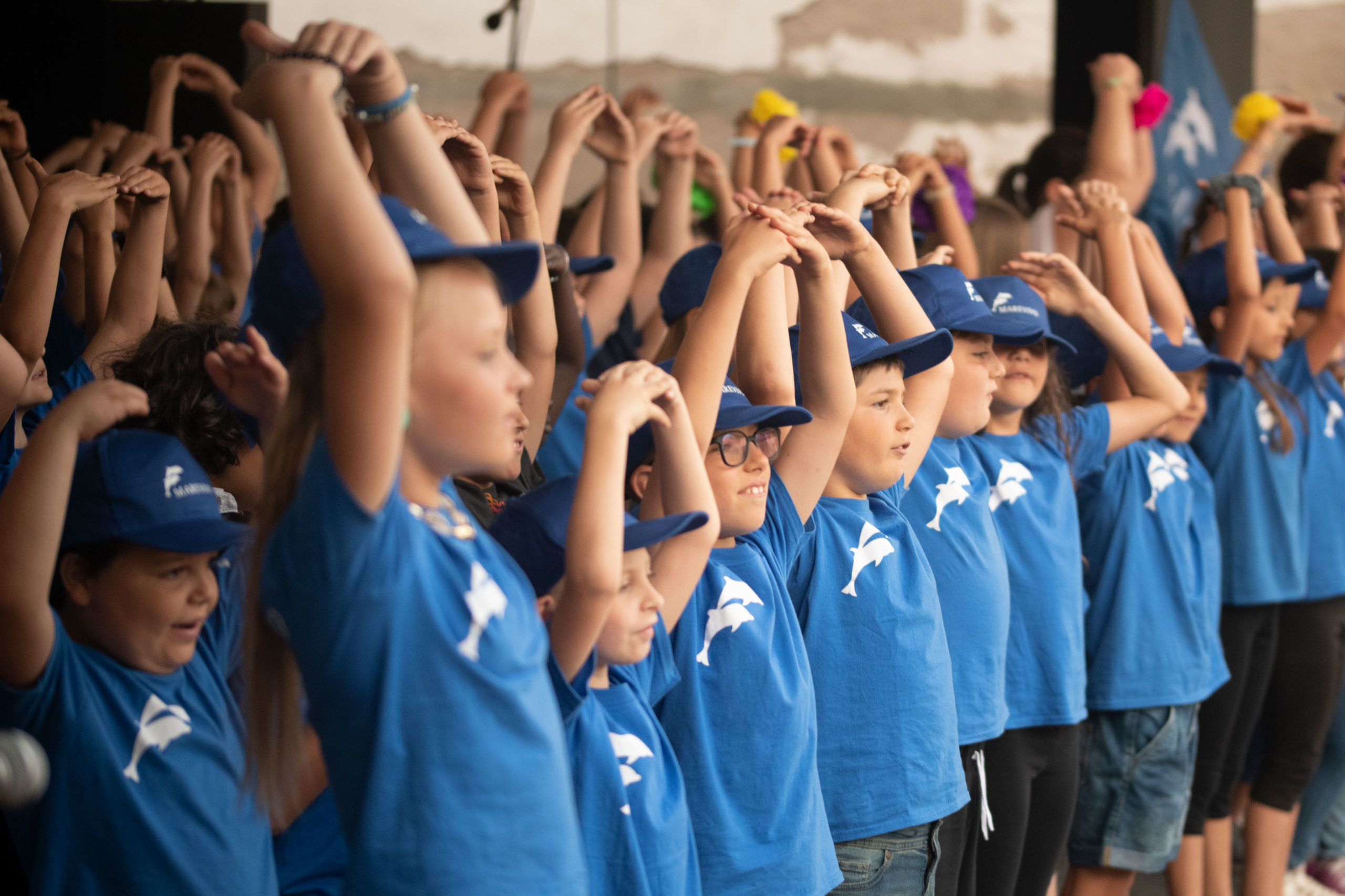 Delfini Guardiani – Questionari