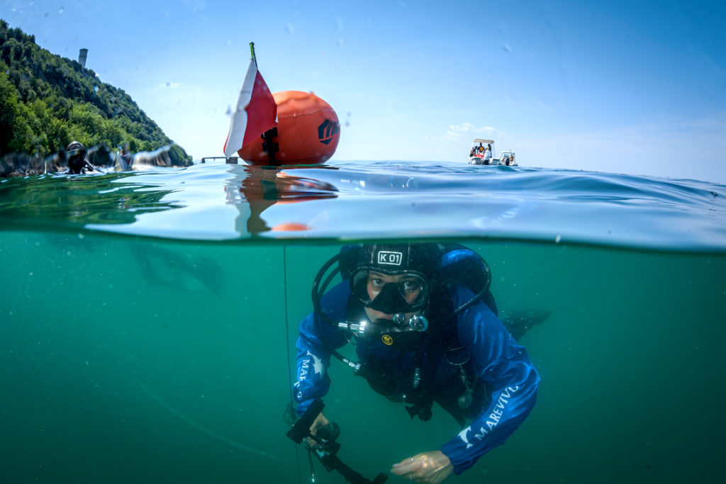 DSC8995 Sel Standard