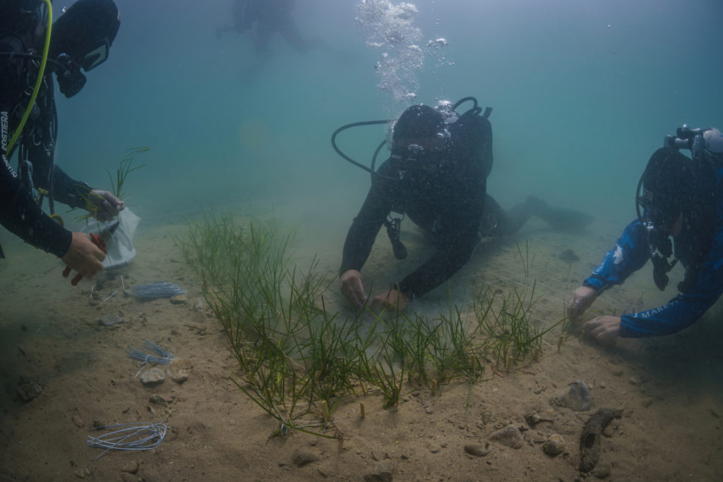 DSC9072 Sel Standard