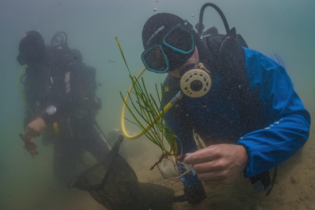 DSC9209 Sel Standard