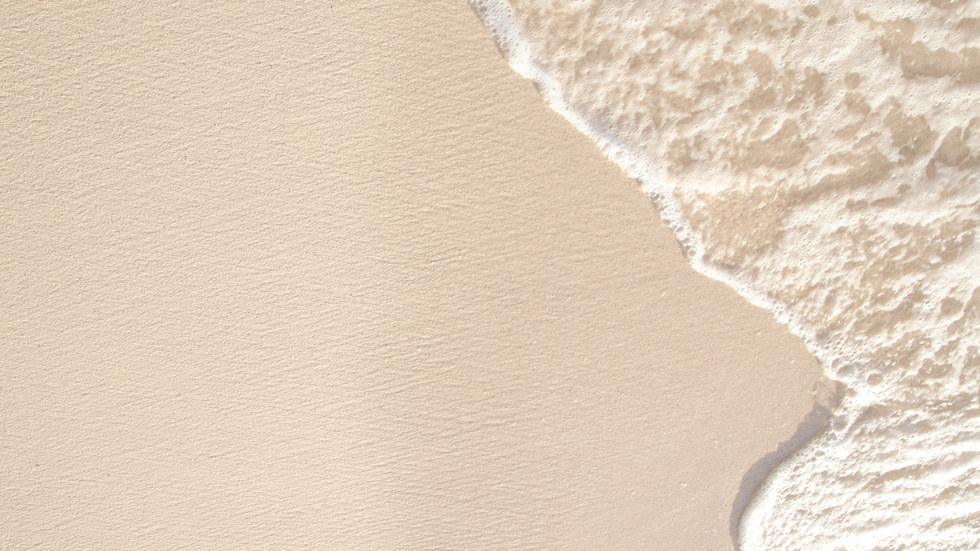 Protect the beach and the sea with us