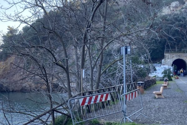 Photo 06-03-23, 09 14 56 Photo 06-03-23, 09 14 56