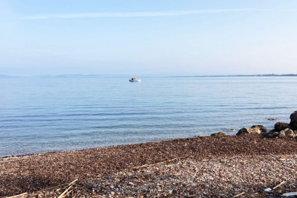 Photo-22-02-23,-09-10-22 Photo-22-02-23,-09-10-22