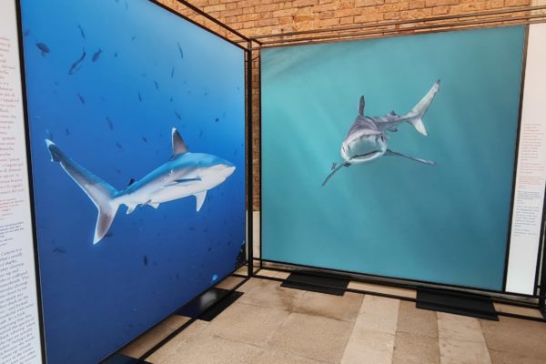 20220607 104527 20220607 104527