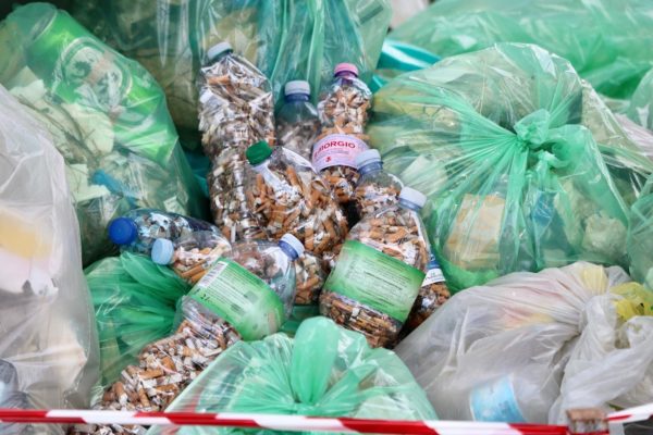 306834317 626162518921712 1587445910903780795 N