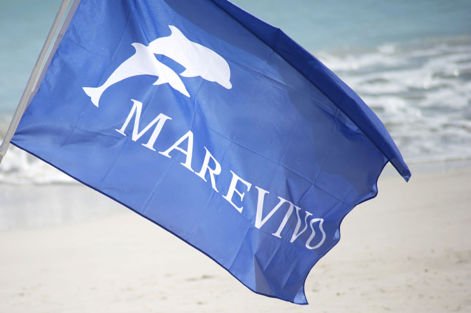 Marevivo scrive ai partiti chiedendo una politica integrata per il mare