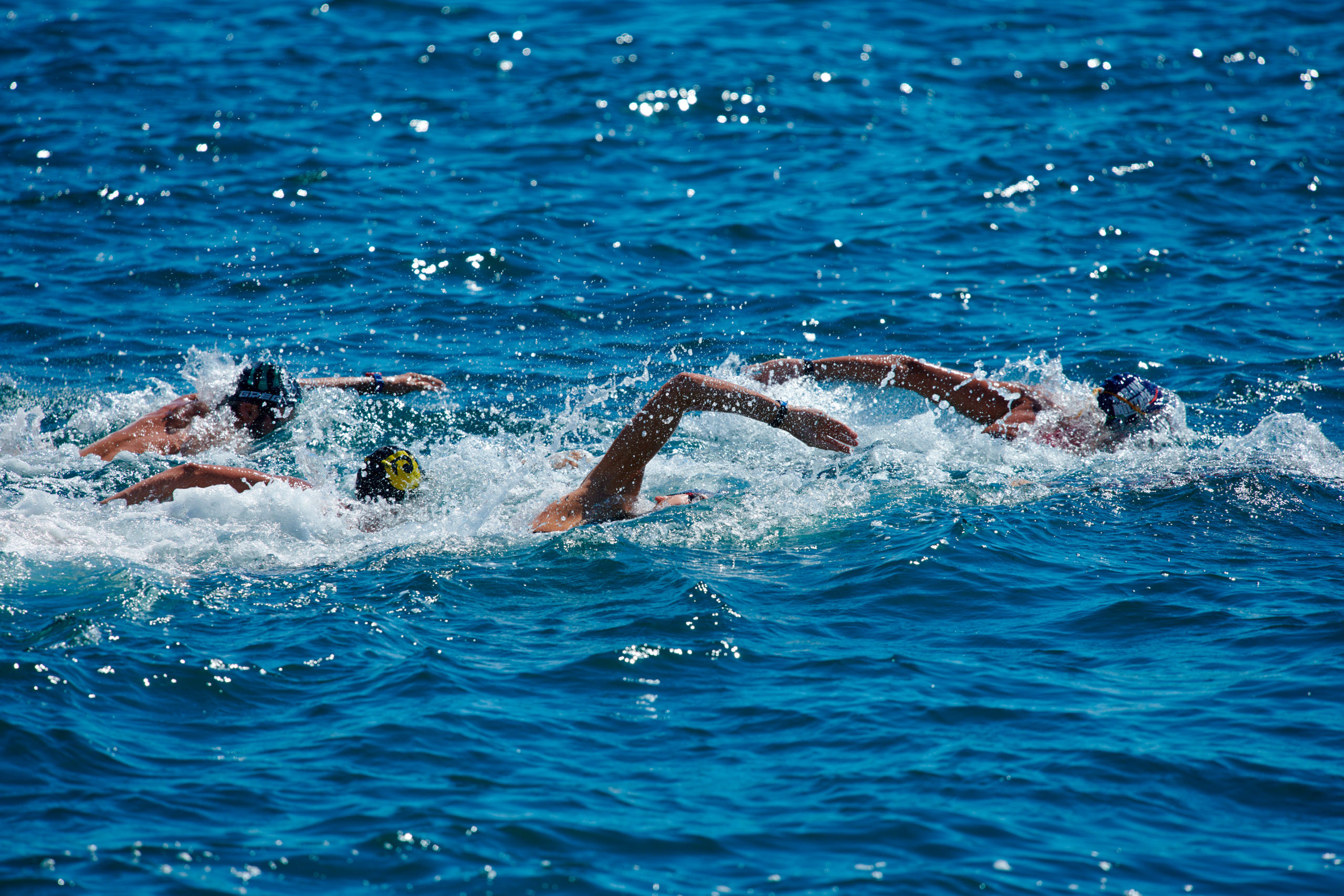 Dominate The Water, è il momento di nuotare insieme. Comincia il tour 2023