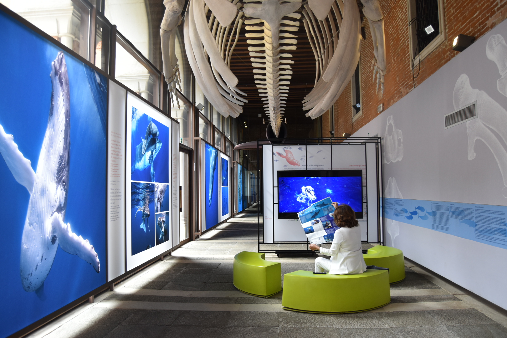 La magia della mostra fotografica “The Living Sea” in notturna per le Blue Nights dei ricercatori