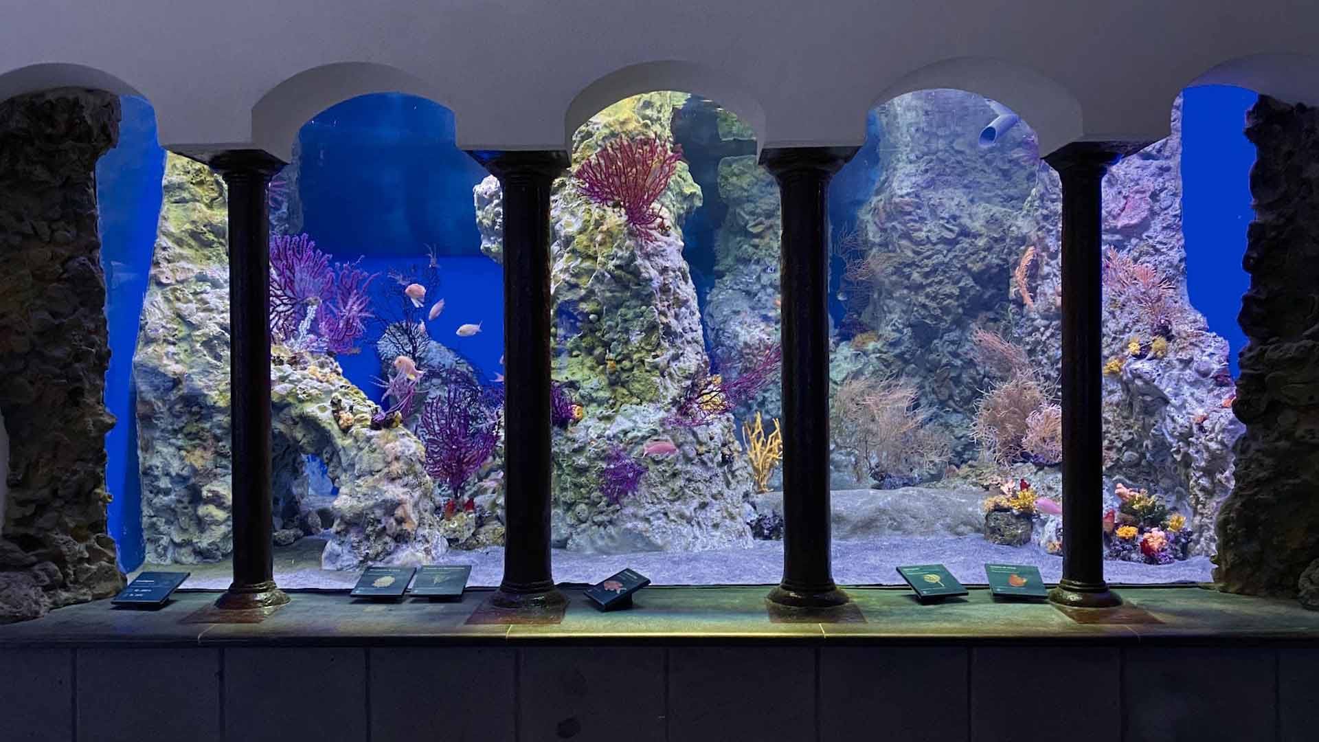 Arriva a Napoli la Biblioteca del Mare: sarà la più grande d’Europa