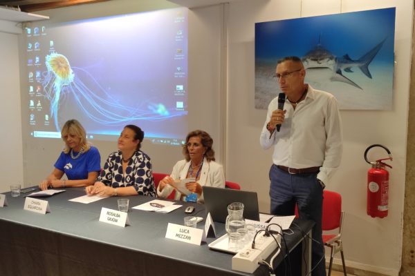 WhatsApp Image 2023 01 13 At 20.00.56