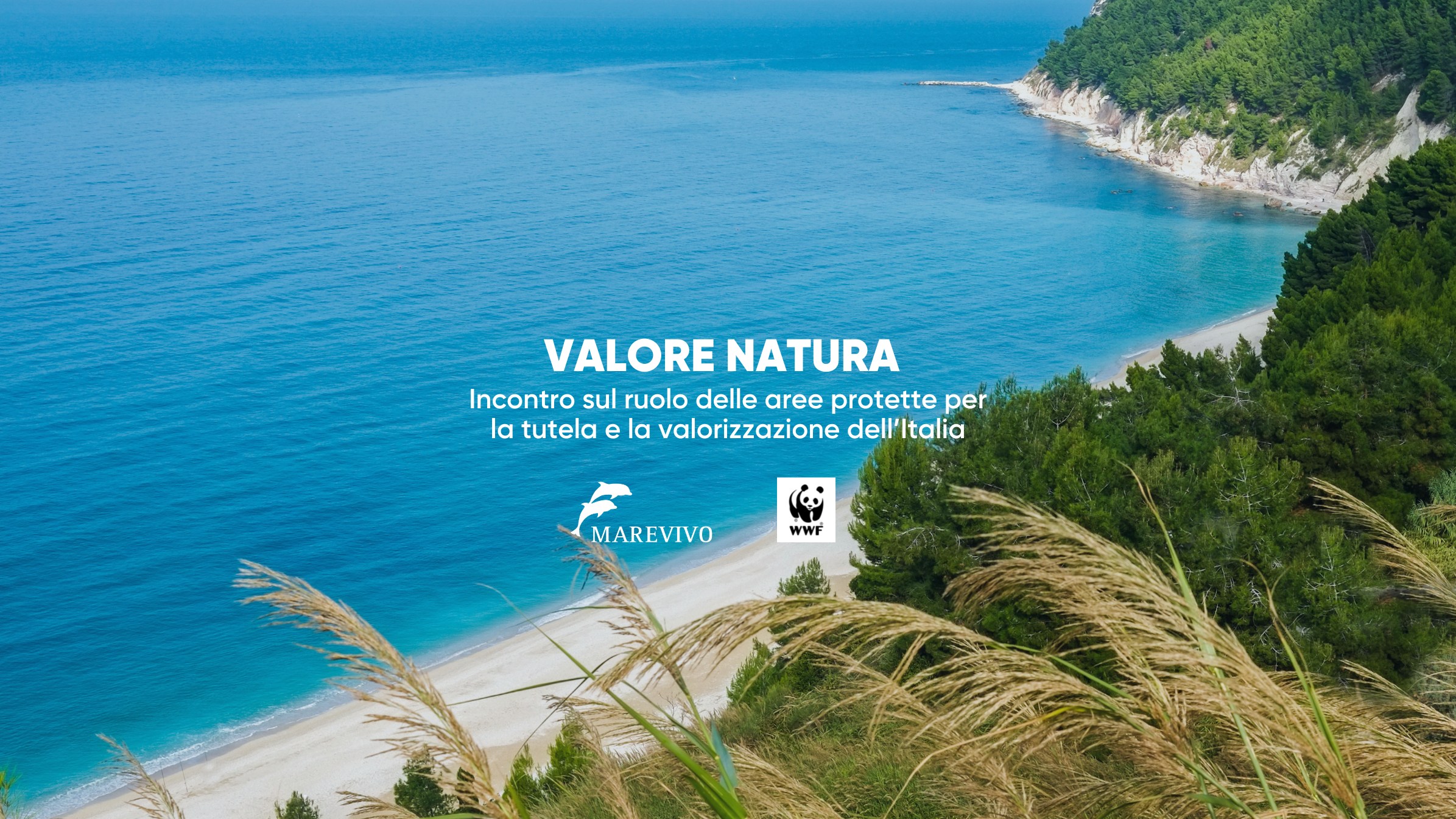 Incontro – Valore Natura