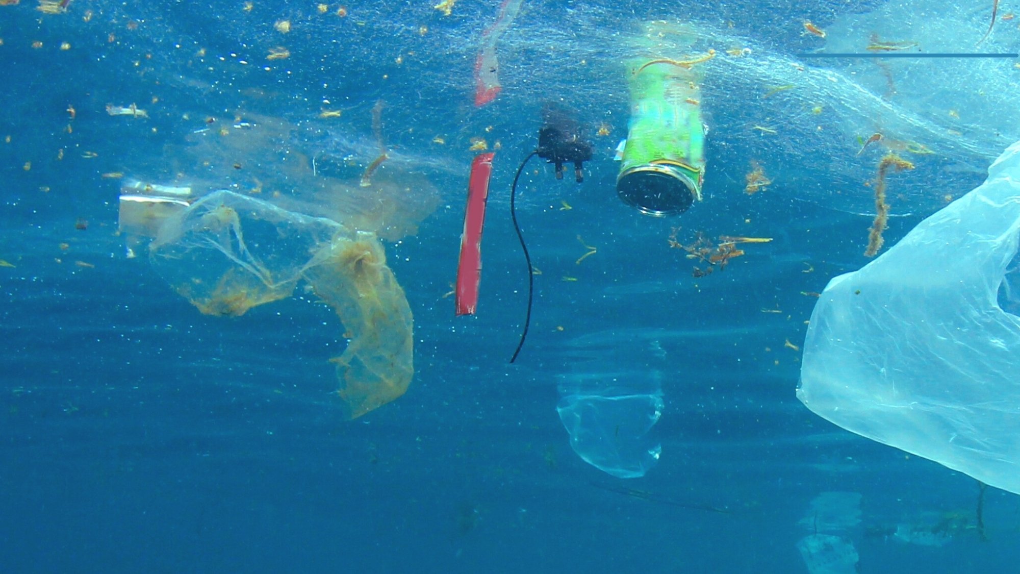 Falliscono gli accordi dei Governi per combattere l’inquinamento da plastica: ancora una volta ci rimette l’ambiente