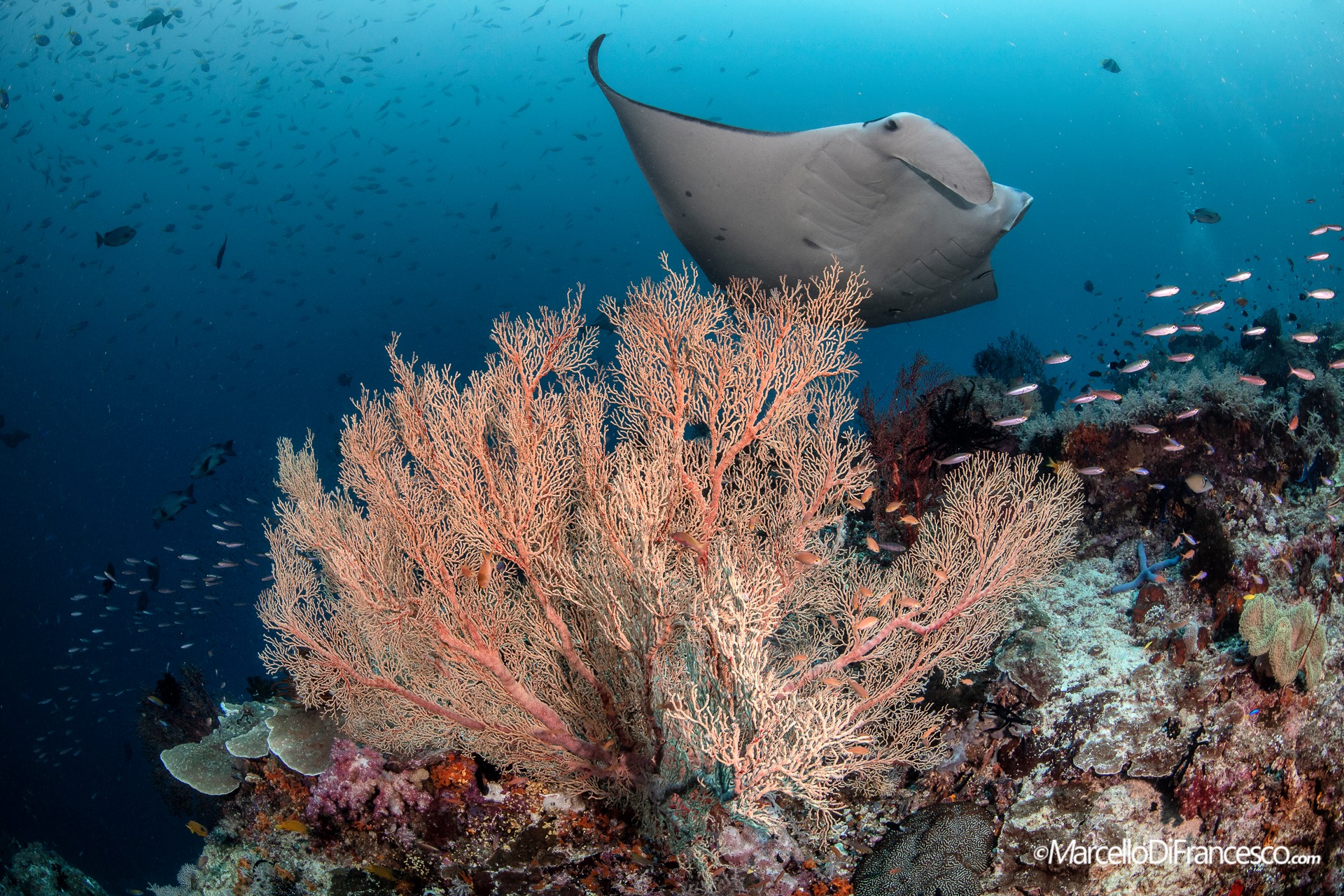 Reached a historical agreement for the protection of the High Sea