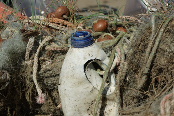 DSC04649 (1) DSC04649 (1)