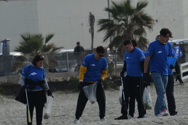 DSC 8700 Risultato DSC 8700 Risultato