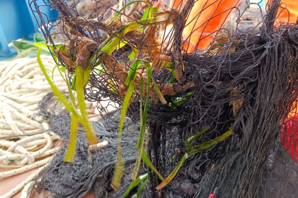 IMG 20230130 105307 IMG 20230130 105307