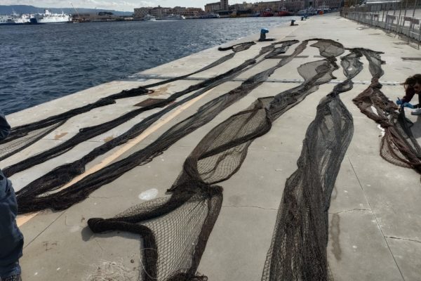 IMG 20230130 125631 IMG 20230130 125631