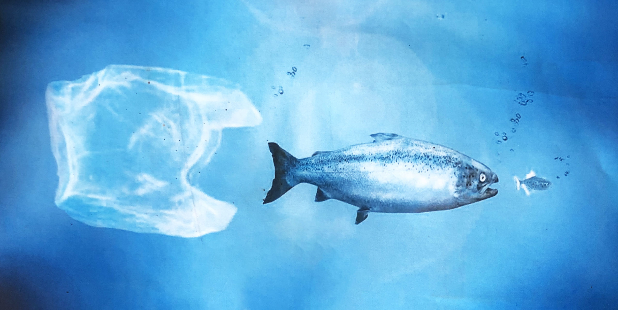 Marevivo e il mondo del mare lanciano l’ennesimo appello al Governo: occorrono i decreti attuativi della Legge Salvamare