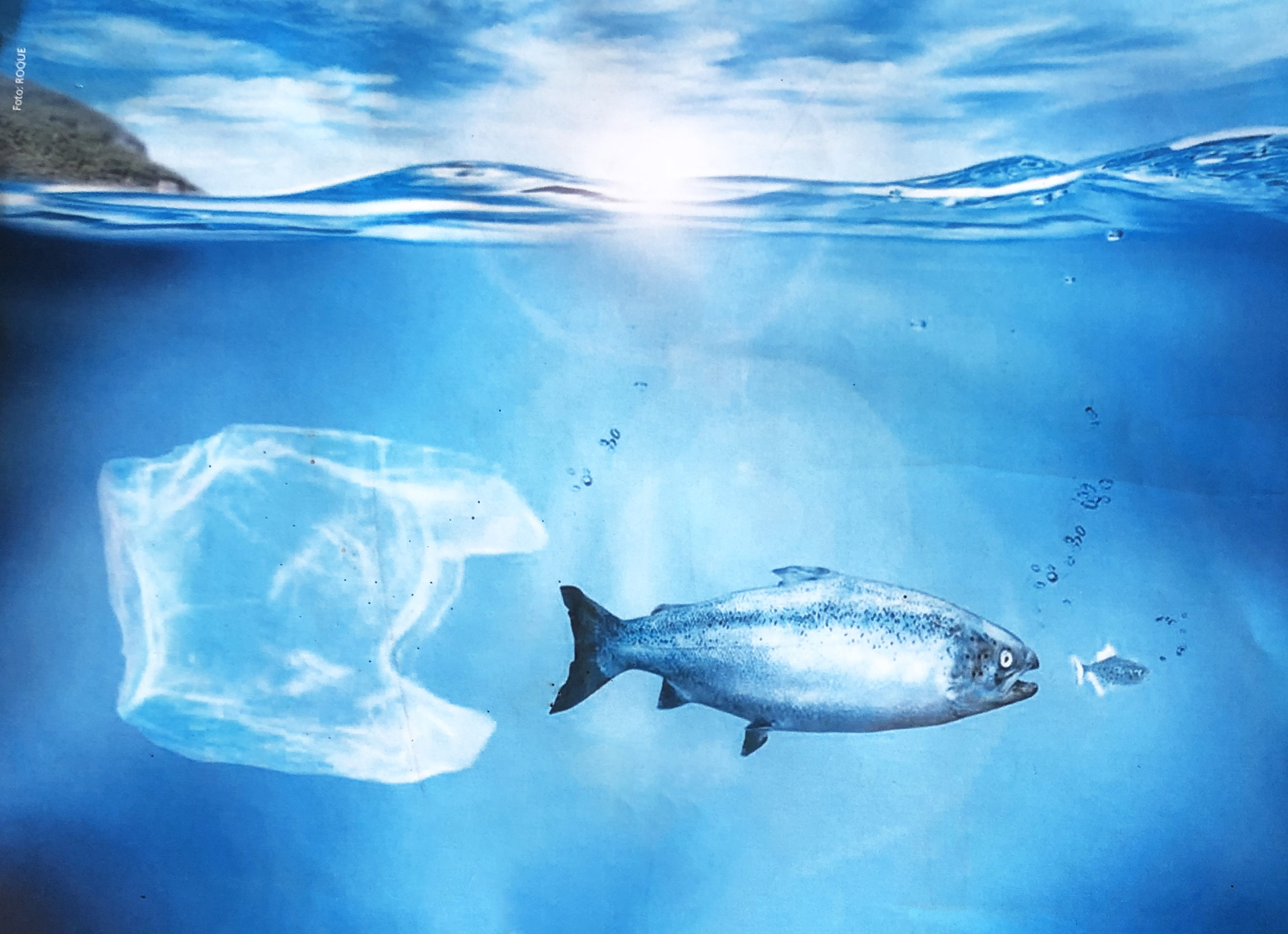 Parigi: verso la bozza dell’accordo internazionale sull’inquinamento da plastica anche in ambiente marino