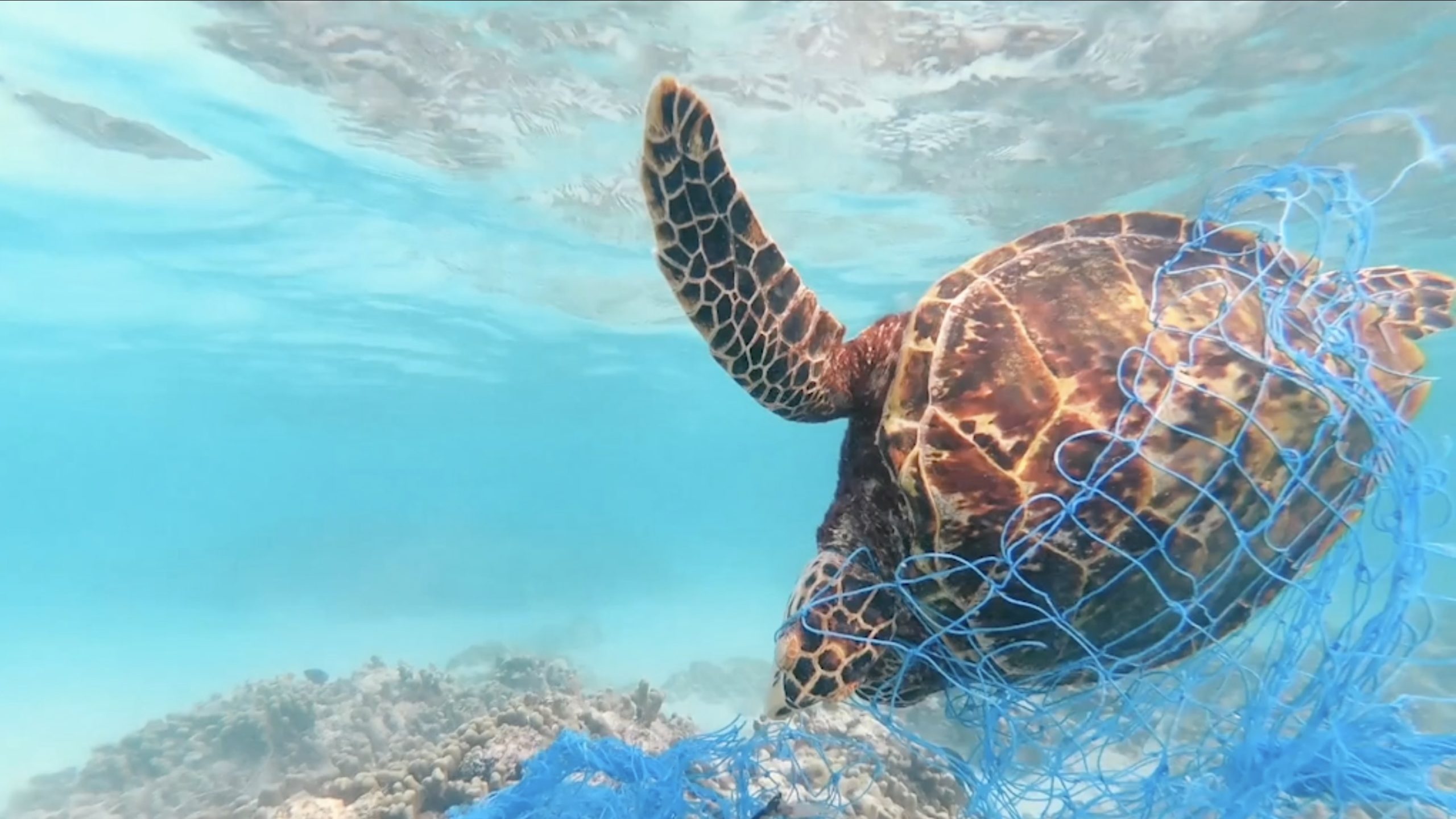 La nostra campagna di comunicazione sociale selezionata da Rai per la Sostenibilità