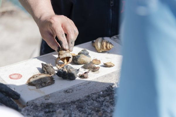 MAREVIVO PANTELLERIA 069 MAREVIVO PANTELLERIA 069