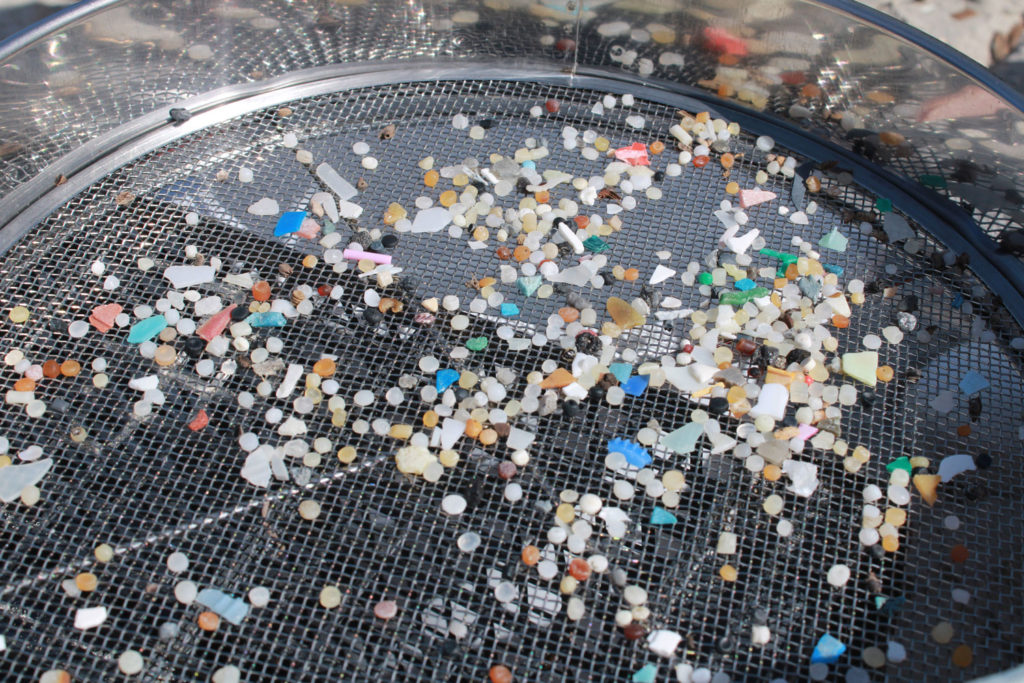 20220410095812 IMG 5288 Copia