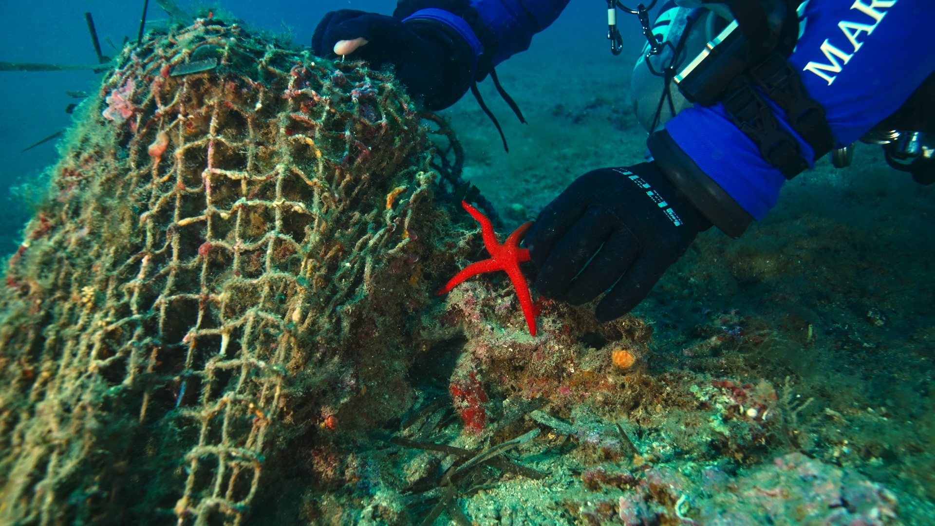 La nostra Divisione Sub in azione a San Felice Circeo: rimossa rete fantasma di 450 metri