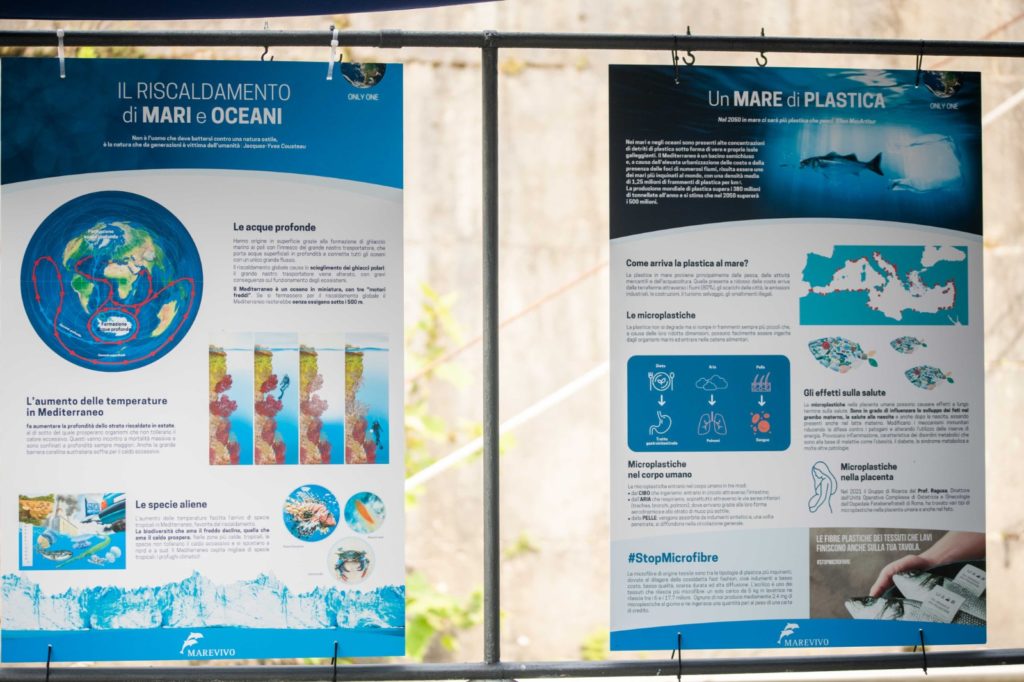 WhatsApp Image 2023 05 24 At 16.42.43(2)