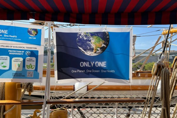 WhatsApp Image 2023-07-05 at 10.46.59 WhatsApp Image 2023-07-05 at 10.46.59