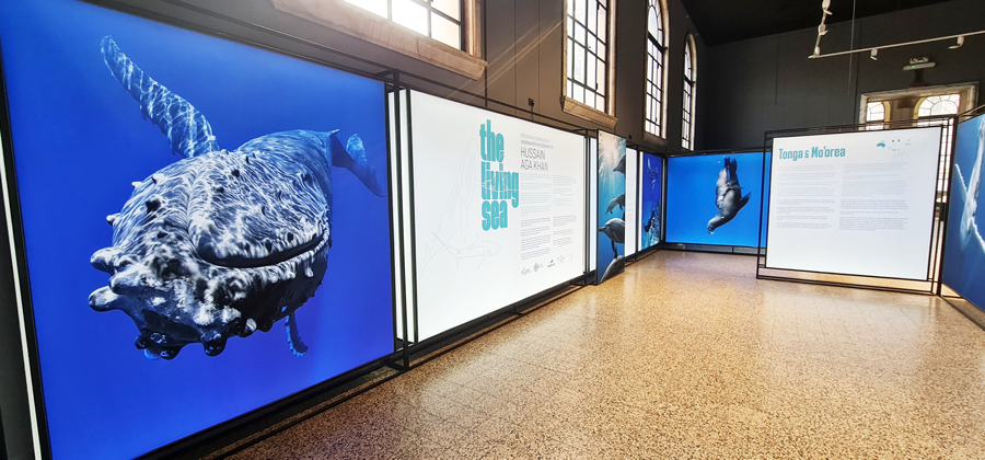 WhatsApp Image 2025 05 12 At 15.15.53 (2)