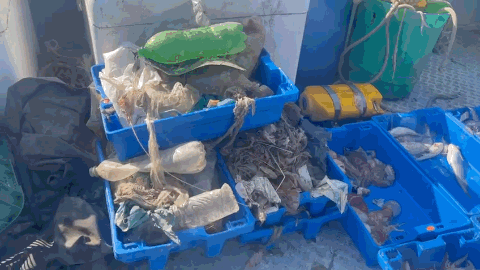 Giornata Mondiale Oceani – Regolari