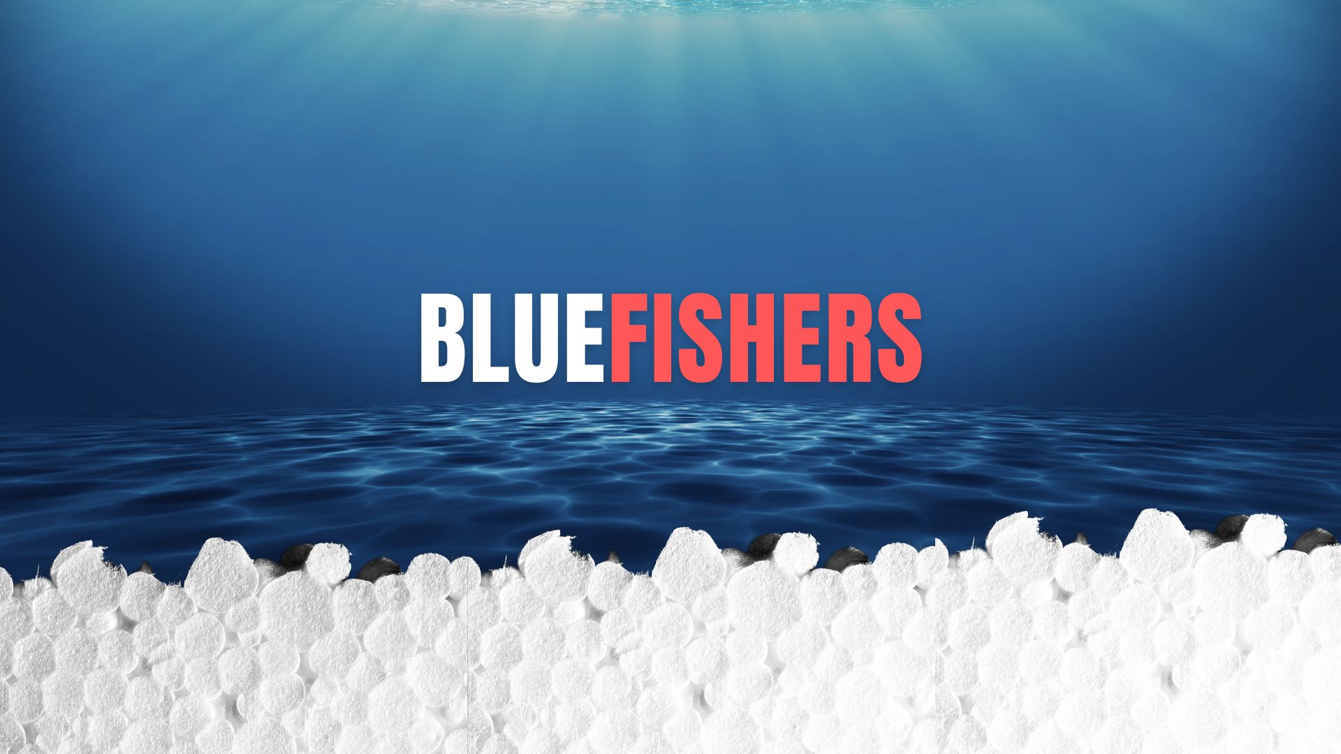 BLUEFISHERS