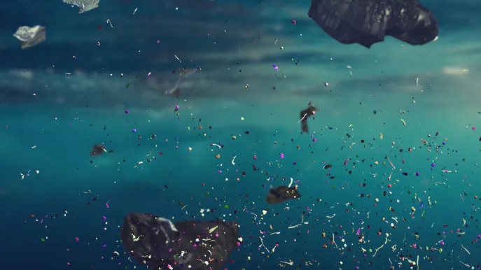 Interview with Antonio Ragusa: the presence of microplastics in the human placenta