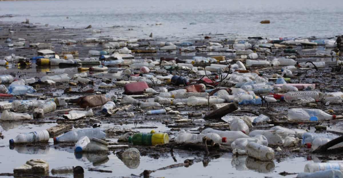 Firmato il primo decreto attuativo della Legge Salvamare: un regalo di Natale al mare