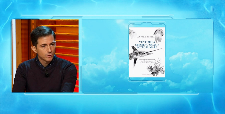 Ventimila specie (o quasi) sotto il mare: intervista ad Andrea Bonifazi