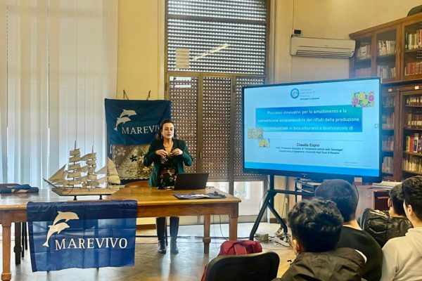 WhatsApp Image 2024 01 16 At 12.38.23 (4)