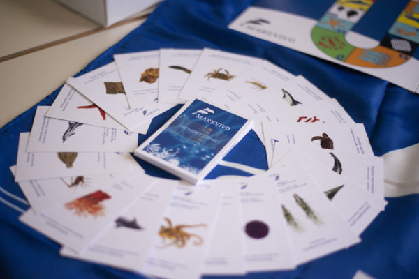 DSC1353 (1) DSC1353 (1)