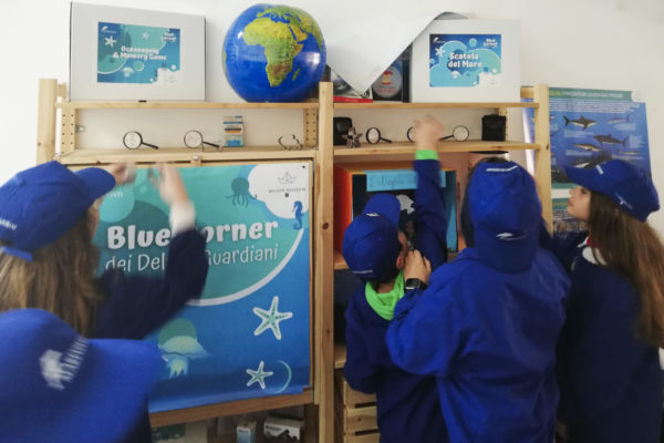 IMG 20230316 105027 IMG 20230316 105027