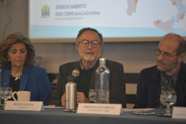 Bruno Cignini Bruno Cignini