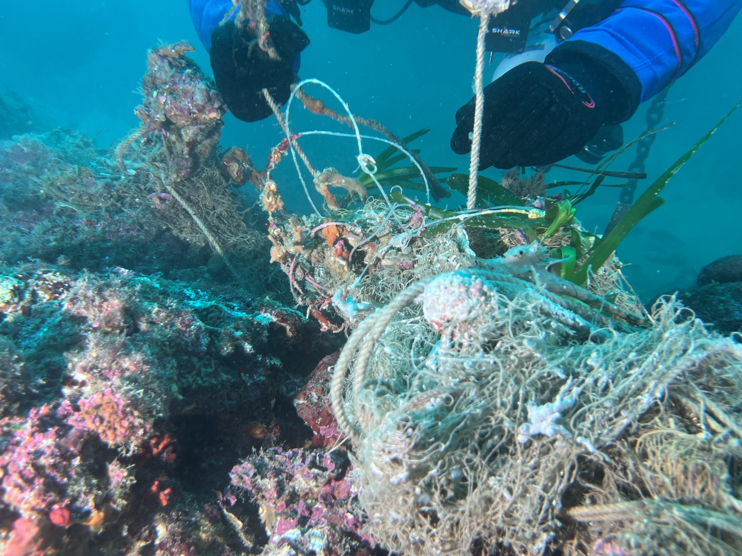 La Divisione Sub di Marevivo in azione a Imperia: rimossa rete fantasma lunga oltre 400 metri
