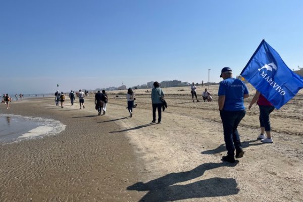 393231E4 776A 430C ABA5 FCDB48D3B9C4 1 105 C 393231E4 776A 430C ABA5 FCDB48D3B9C4 1 105 C