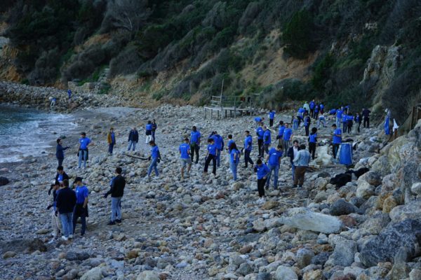 9bf7cc01 86b9 4df1 B9d9 436aa6da77f0 9bf7cc01 86b9 4df1 B9d9 436aa6da77f0