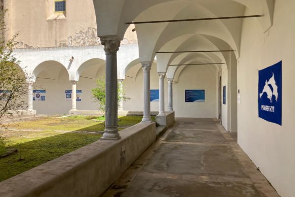 WhatsApp Image 2024 04 02 At 12.19.27 WhatsApp Image 2024 04 02 At 12.19.27