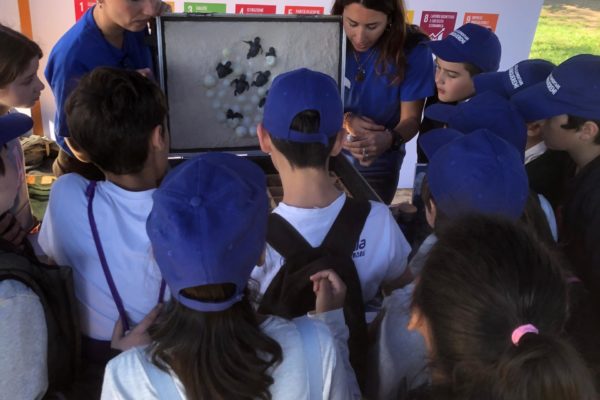 WhatsApp Image 2024 04 18 At 10.32.46 WhatsApp Image 2024 04 18 At 10.32.46